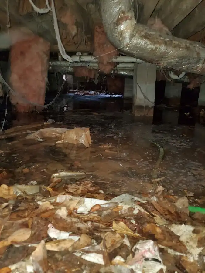 Crawl space flood assessment for Leak Detection & Repair in Richmond