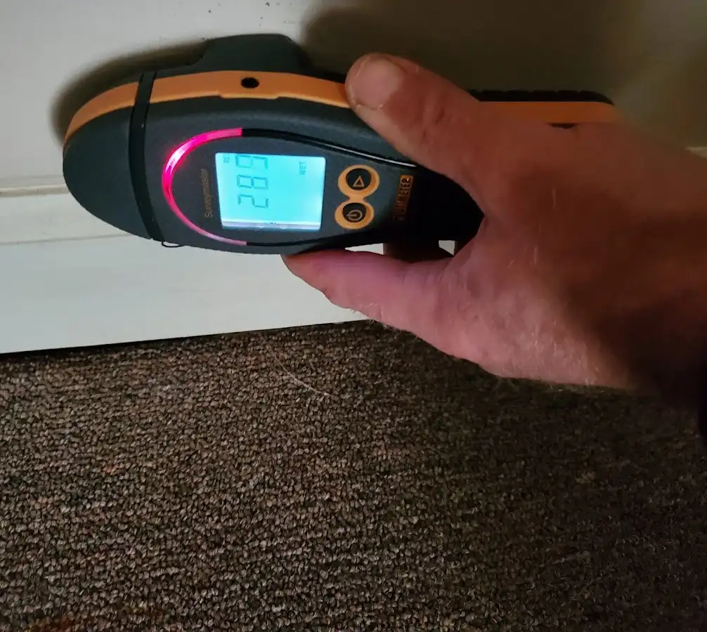 Moisture detection at baseboard during Sewage Cleanup & Sanitation in Richmond